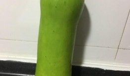吃蒲瓜的好处,天然保健品，健康生活新选择