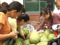 丰台村吃瓜群众,吃瓜群众的欢乐盛宴