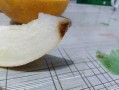 吃哈密瓜对抽血有影响吗