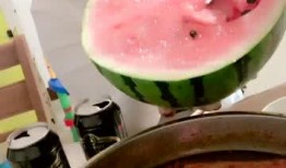 吃货吃瓜女孩,吃货吃瓜女孩的美食探秘之旅