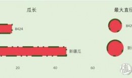 吃瓜excle,揭秘娱乐圈幕后故事