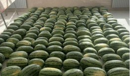 芜湖最新吃瓜新闻,揭秘网红餐厅卫生门事件！