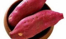 吃土瓜补什么,补身强体，养生之道尽在其中