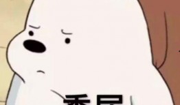 曾经的我吃瓜现在的我吃瓜了,我的观瓜之路