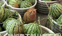 最新的吃瓜视频,最新热门事件幕后真相大曝光