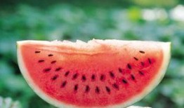 吃瓜了的图片,吃瓜群众视角下的娱乐圈风云