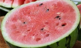 吃麒麟瓜,一场味蕾与传说的邂逅