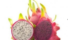 fruit现在的吃瓜群,探索“fruit”吃瓜群的欢乐时光