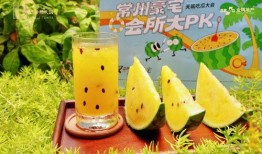 出击吃瓜,揭秘娱乐圈幕后风云