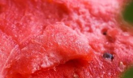 杭州吃瓜群,揭秘城市生活圈的热辣话题与趣味瞬间