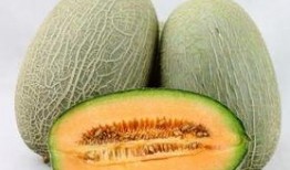 咳嗽吃哈密瓜行吗,天然食疗新选择