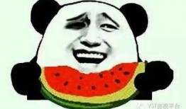 呆瓜能当瓜吃吗,探索奇特食材的食用可能性