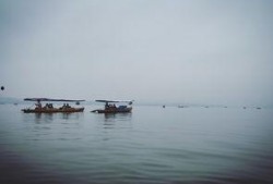 烟雨吃瓜知乎,揭秘网络热点的背后故事