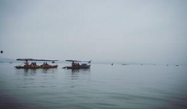 烟雨吃瓜知乎,揭秘网络热点的背后故事