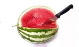 养成系统吃瓜,解锁快乐生活新姿势