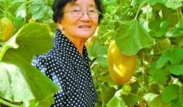 西昌月华李嫂吃瓜,一场别开生面的夏日盛宴