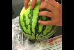 吃瓜医学,揭秘吃瓜医学生的趣味生活与医学知识