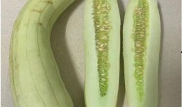 白瓜怎么吃甜,探索白瓜的甜蜜吃法