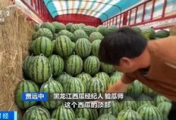 葵酱吃瓜专用群,揭秘娱乐圈幕后故事