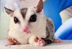 嘤嘤吃瓜,揭秘娱乐圈那些不为人知的幕后故事