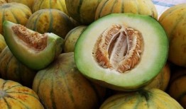 吃新疆老汉瓜视频,舌尖上的新疆风情