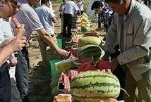 苏州疫情吃瓜视频,揭秘病毒下的网络热议与生活百态