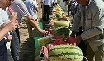 苏州疫情吃瓜视频,揭秘病毒下的网络热议与生活百态