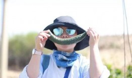 跟着王导吃瓜,揭秘娱乐圈那些事儿