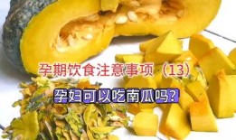 怀孕能否吃方瓜