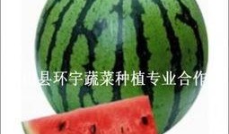 玉田吃瓜吗,揭秘吃瓜群众的趣味生活