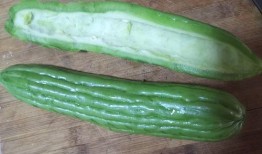 凉瓜别再炒着吃,告别炒菜，探索凉拌与创意烹饪的艺术