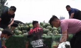 兴化大丰吃瓜事件视频,一场引发热议的网络视频风波