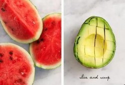 西瓜田吃瓜过瘾,一场吃瓜过瘾的田园之旅