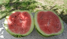 梦见别人给别人瓜吃,瓜分喜悦，共享人间的美好寓意