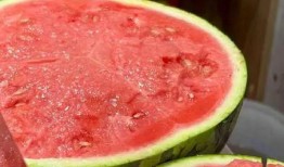 叶无忧吃瓜头像,揭秘网络红人的魅力瞬间
