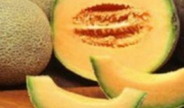 哈密瓜可以做什么吃,创意料理新主张