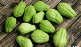 天天吃瓜每日吃瓜