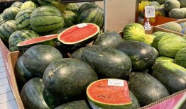 成都吃瓜全集,一场美食与娱乐的狂欢盛宴