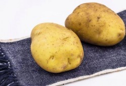 吃瓜土豆炸橙子,探寻美食背后的趣味故事