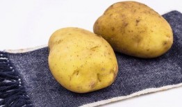 吃瓜土豆炸橙子,探寻美食背后的趣味故事