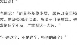 米诺吃瓜全文阅读,一场娱乐圈的狂欢盛宴