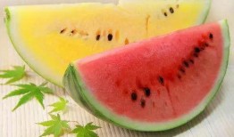 养成系统吃瓜,解锁快乐生活新姿势