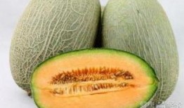 喝开水吃哈密瓜,喝开水搭配哈密瓜的养生之道