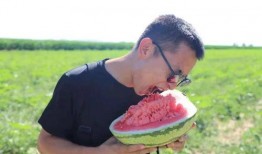 快手带你吃瓜,尽享味蕾盛宴