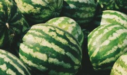 手术前吃瓜,揭秘手术前饮食的奥秘与注意事项