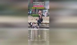 吃瓜群众的力量视频,揭秘网络视频传播背后的惊人效应