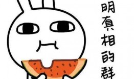 吃瓜案,揭秘网络舆论背后的真相与争议