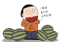吃瓜人在线观看,揭秘娱乐圈幕后故事