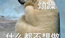 吃瓜群众点头图片,揭秘网络热议背后的真相