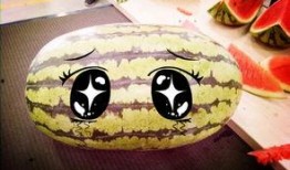 快乐吃瓜认真生活,品味人生百态，拥抱美好时光